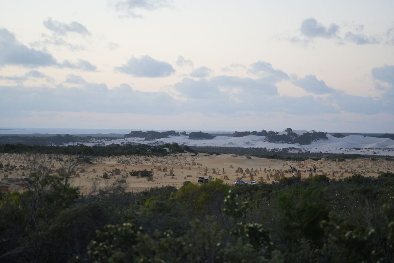 The Pinnacles Desert