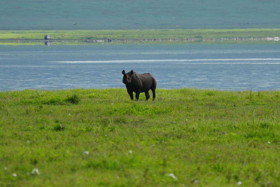Ngorongoro Crater