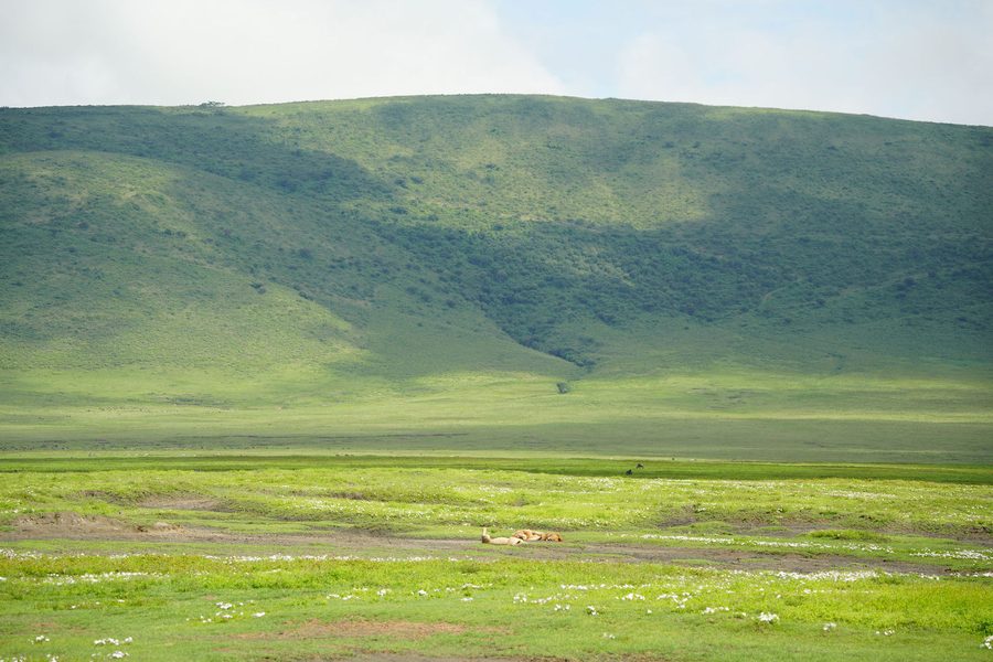 Ngorongoro Crater