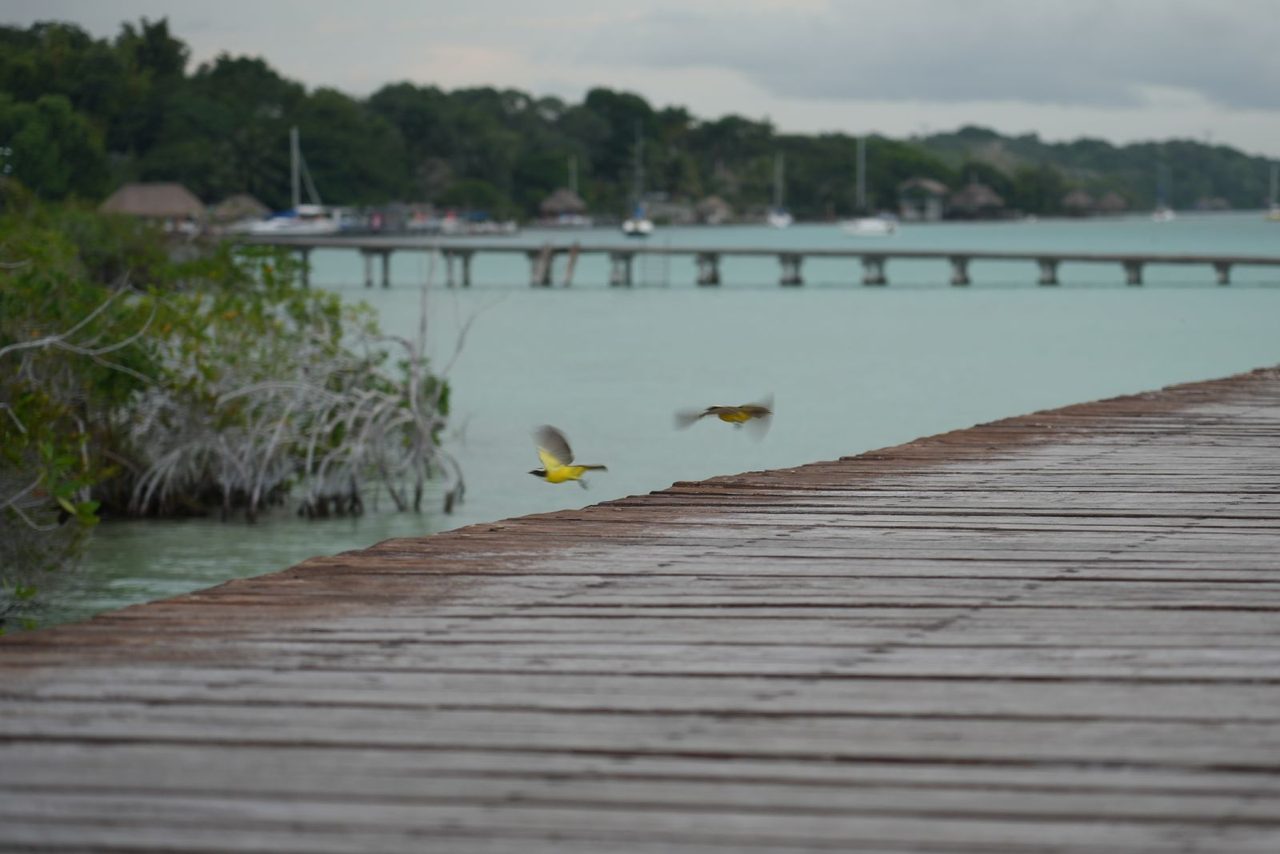 Bacalar Lagoon