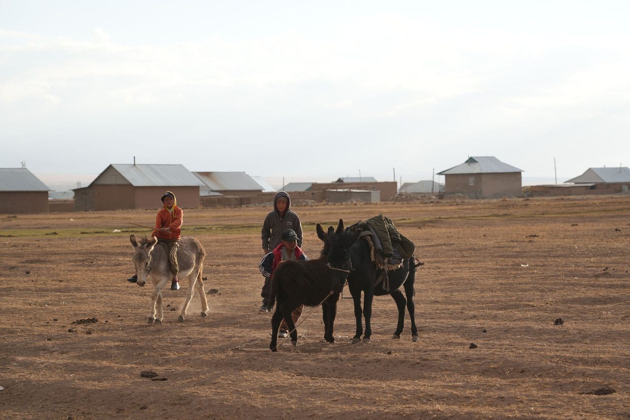 Donkey Riders