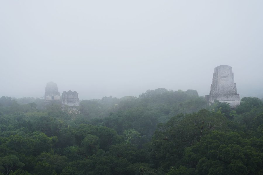 Tikal / Flores