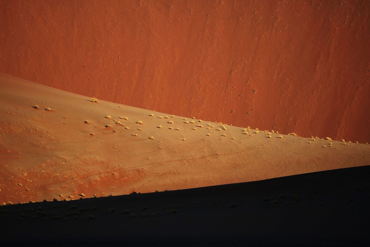 Dune 45