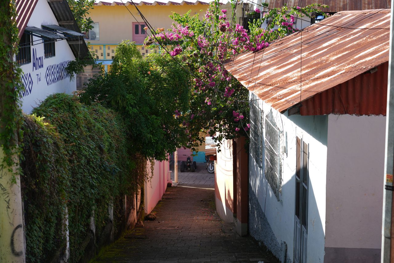 Flores Island