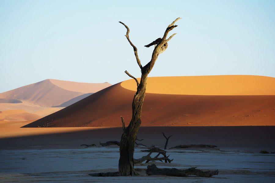 Namib-Naukluft National Park
