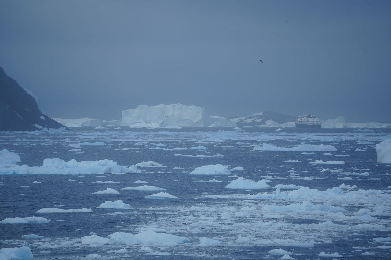 Drift Ice