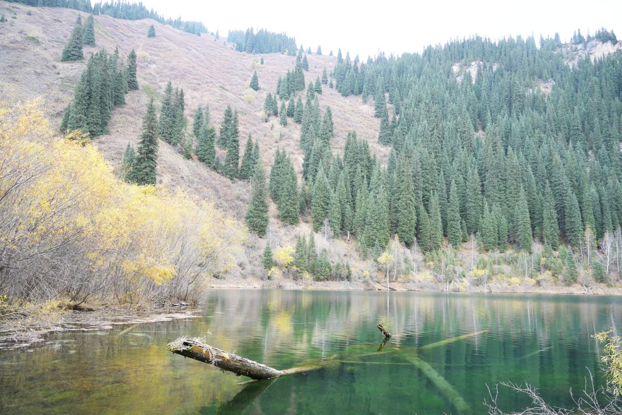 Kaindy Lake