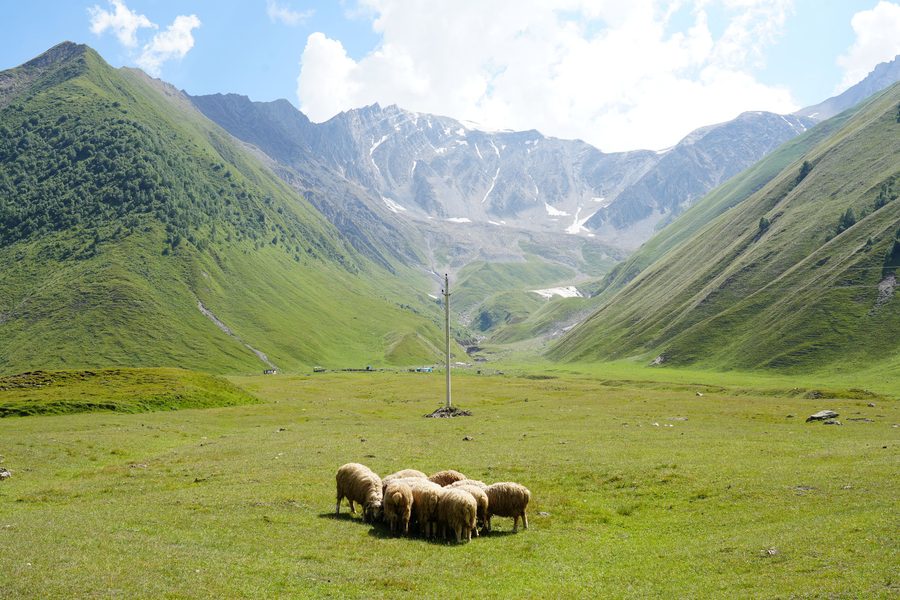 Truso Valley