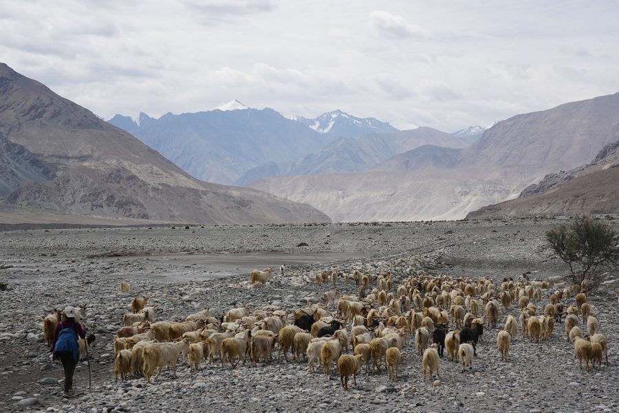 Leh to Pangong Lake