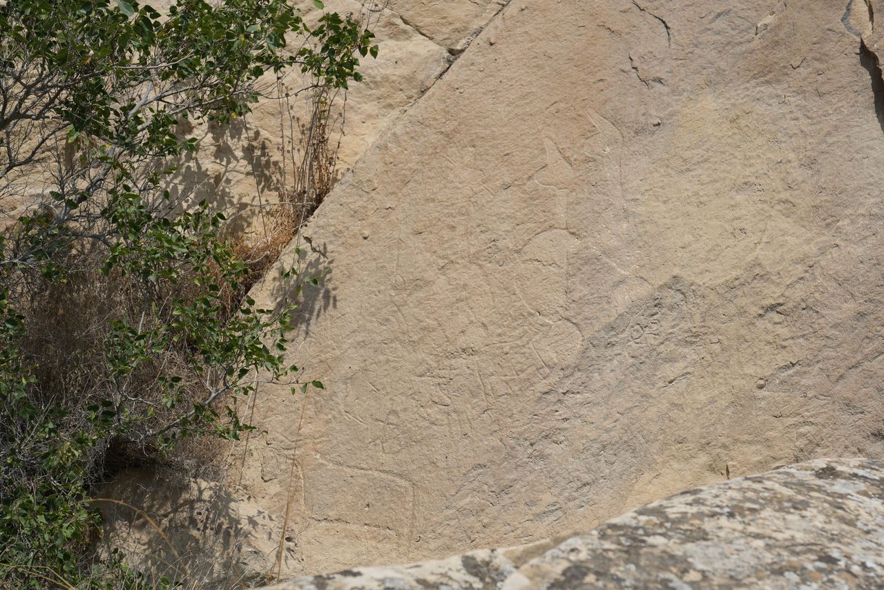 Animal petroglyphs at Gobustan National Park