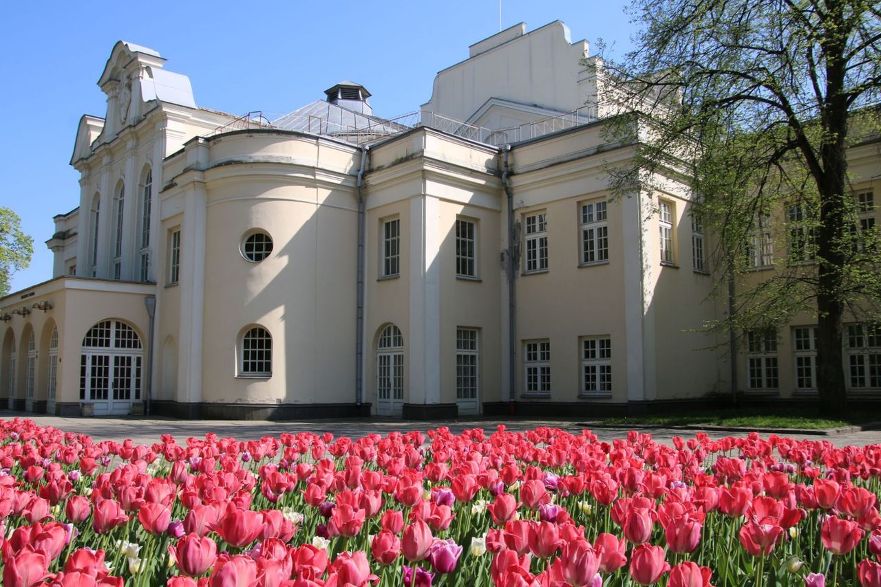 The grand facade of the State Musical Theatre and a field of tulips