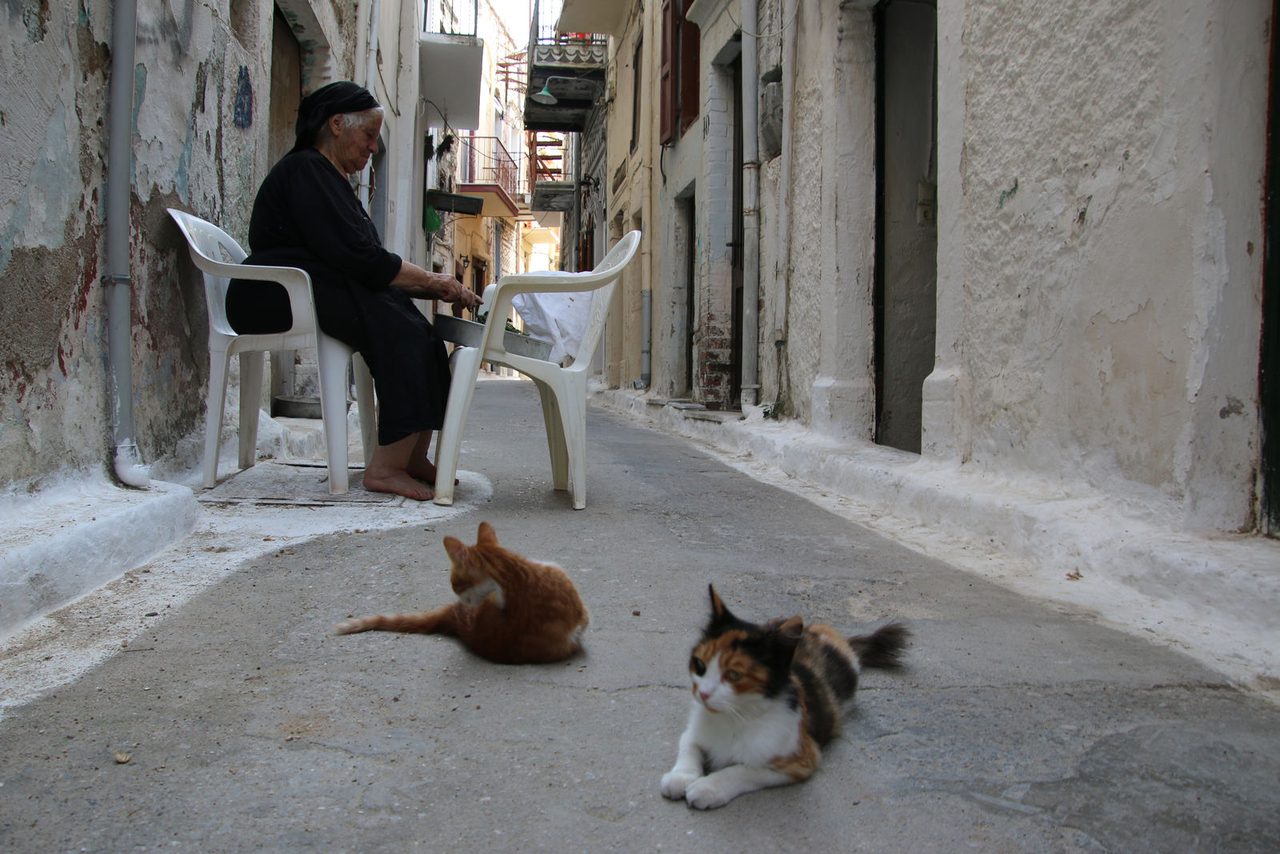 Local life and cats in Pyrgi Chios