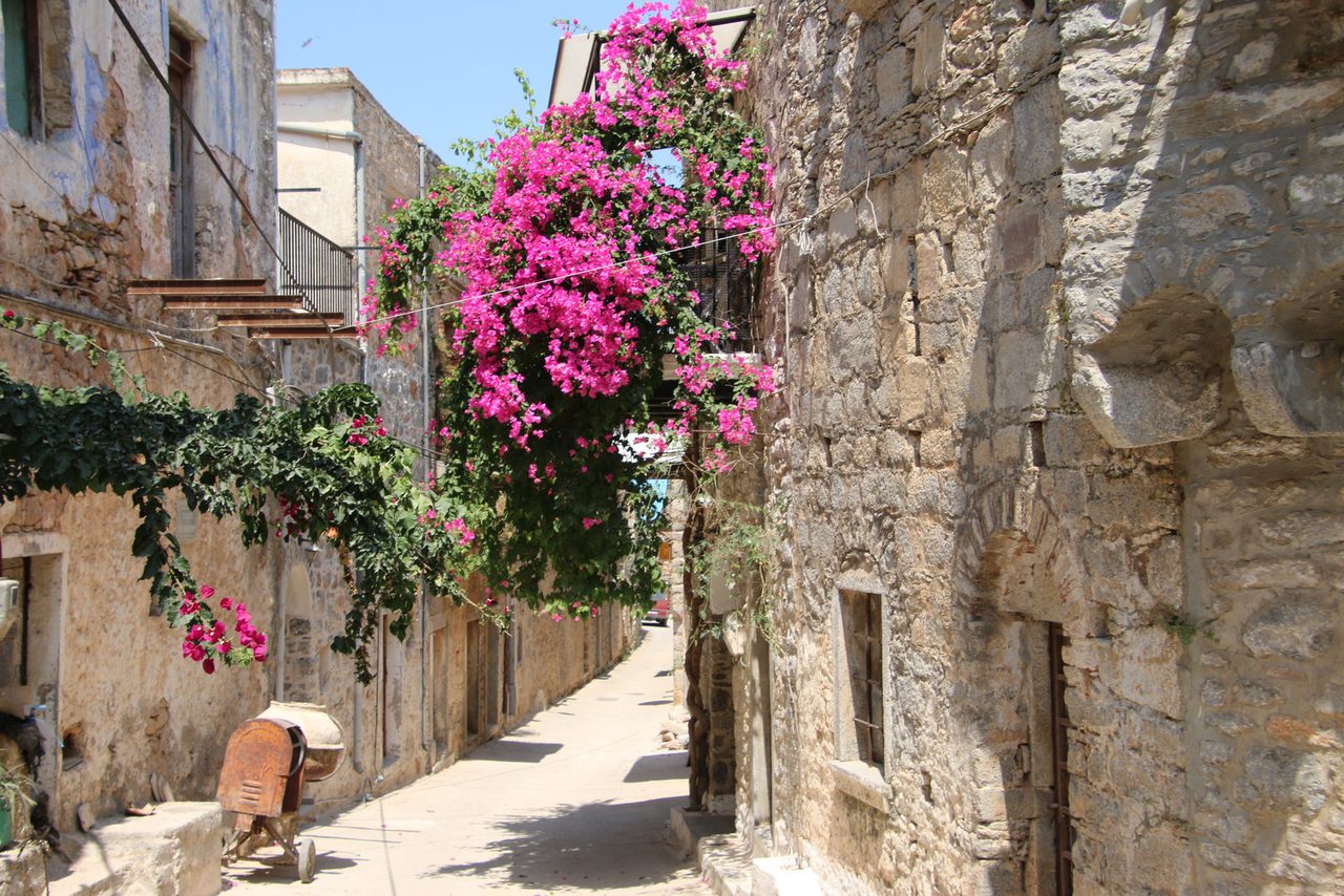 Stunning bougainvillea in Mesta Chios