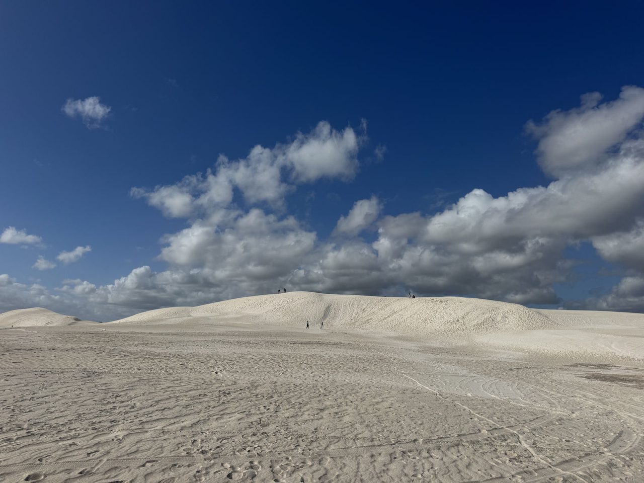 Lancelin Sand Dunes
