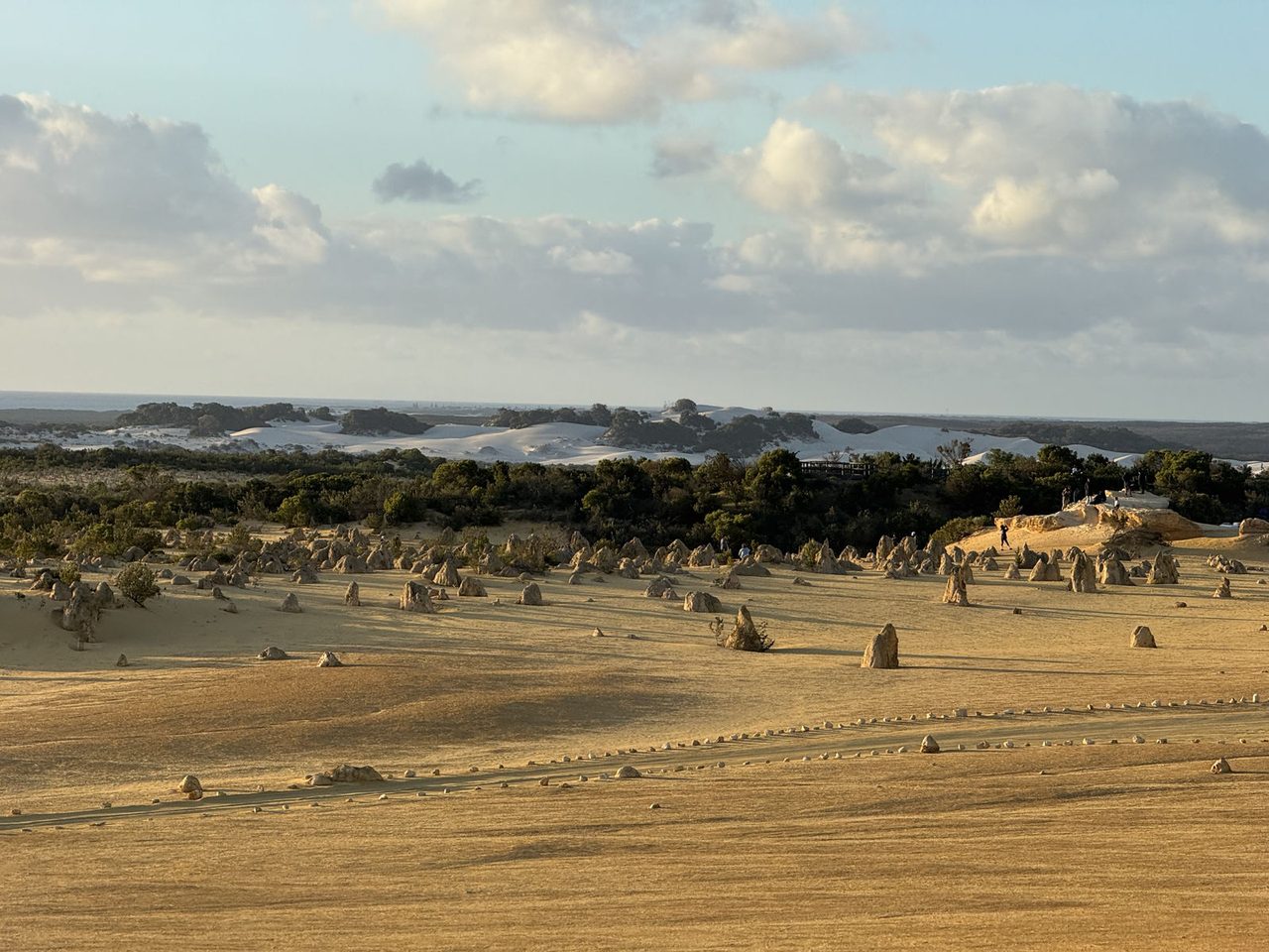 The Pinnacles Desert