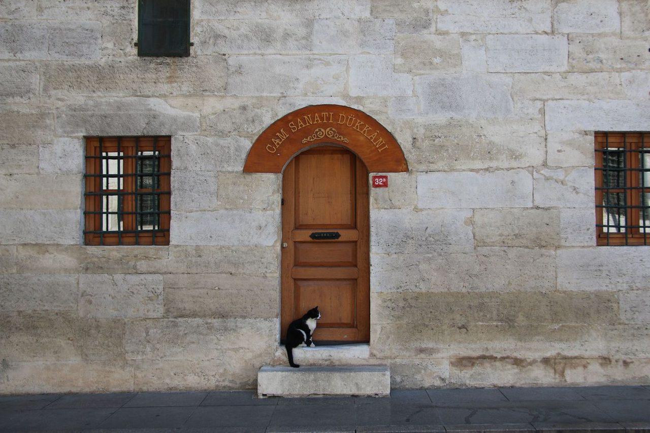 The Cat at the Door