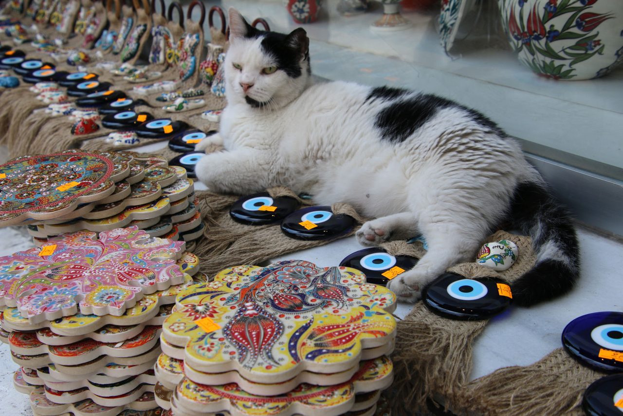 The Souvenir Shop Keeper