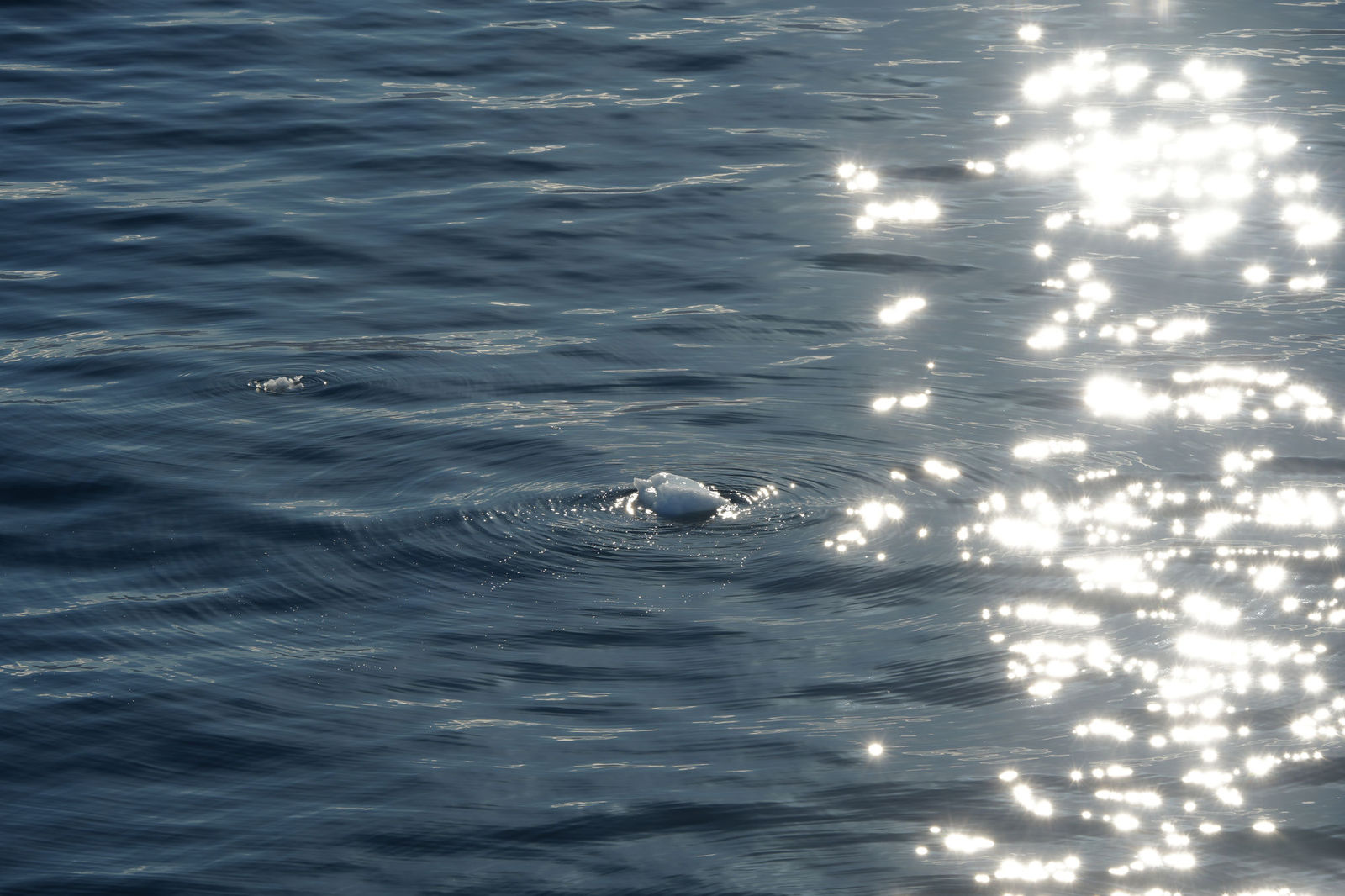 Ripples
