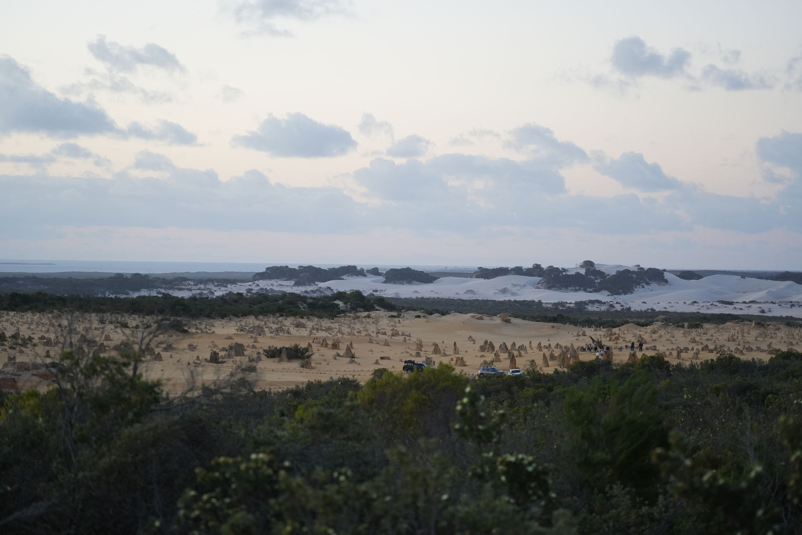 The Pinnacles Desert