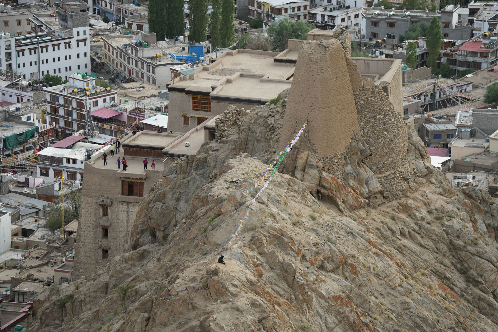 Leh