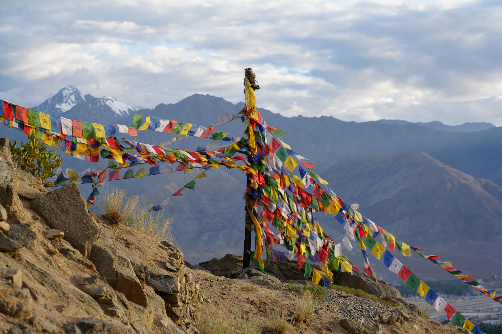 Leh
