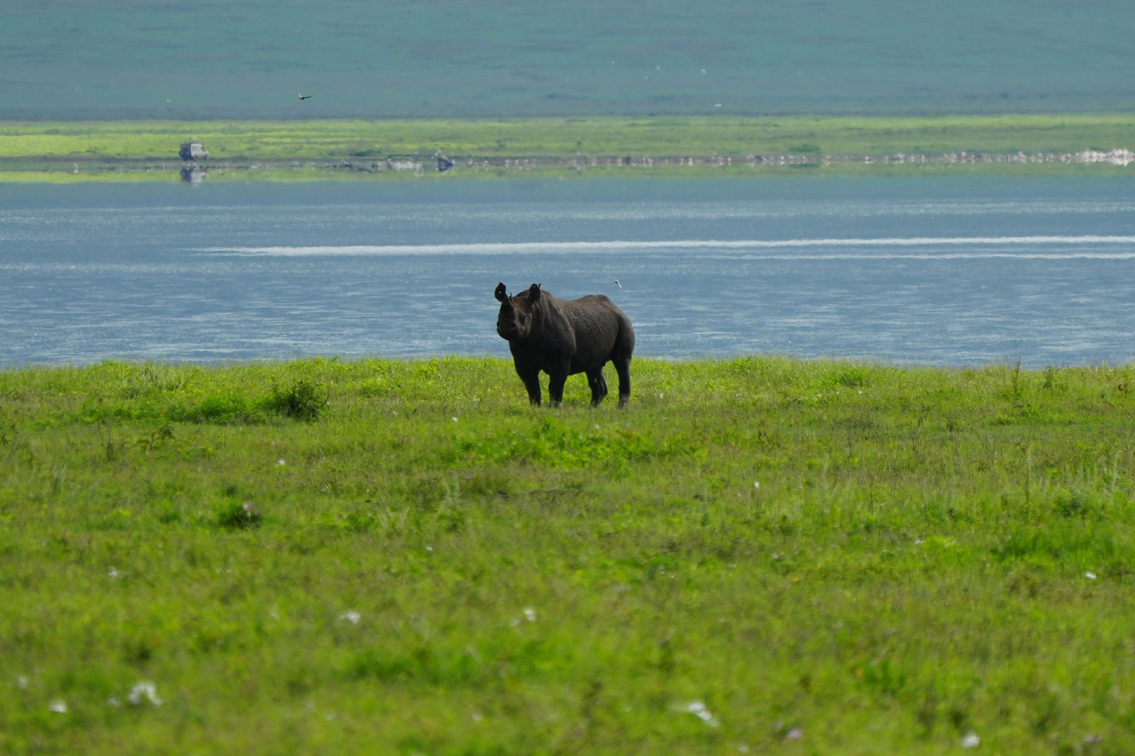Ngorongoro Crater