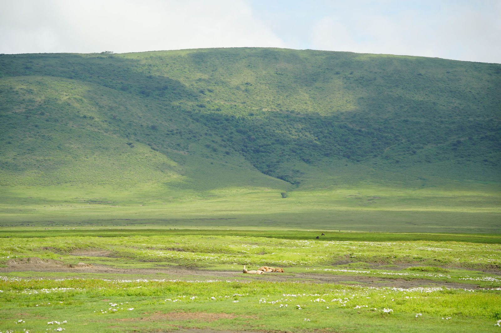 Ngorongoro Crater