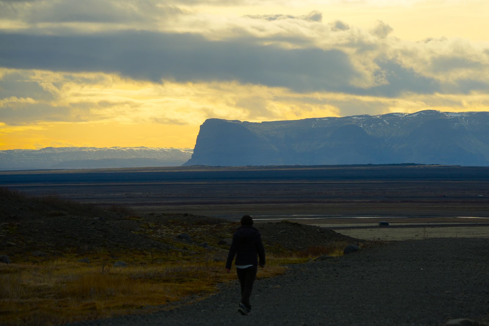 Vik to Höfn