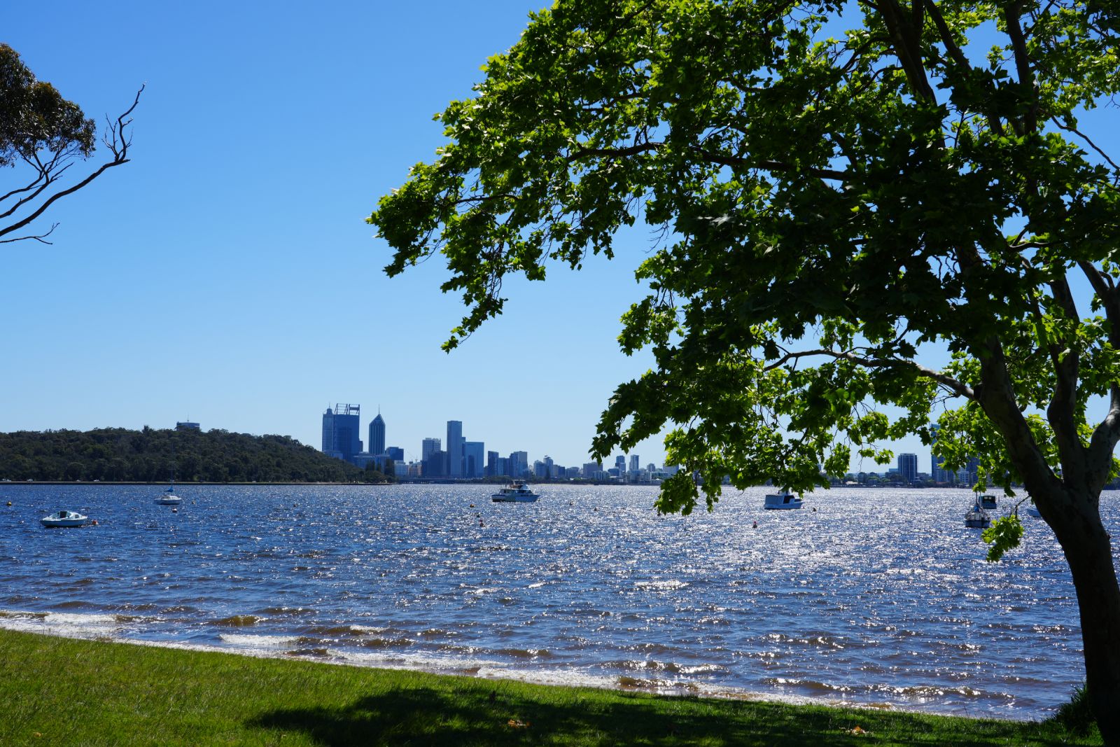 Matilda Bay