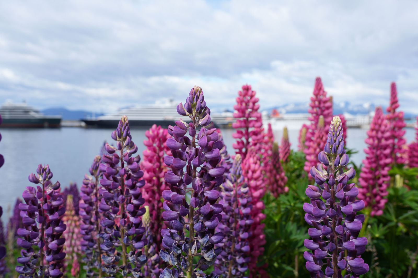 Ushuaia