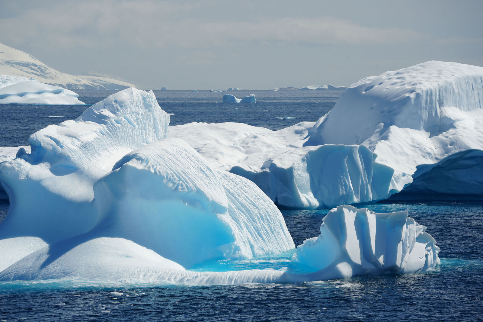 Iceberg
