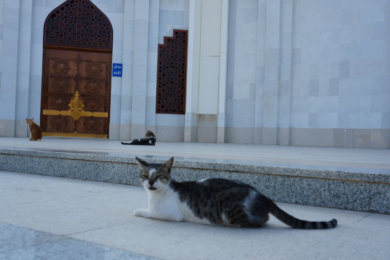 Hassan Enany Mosque, Jeddah