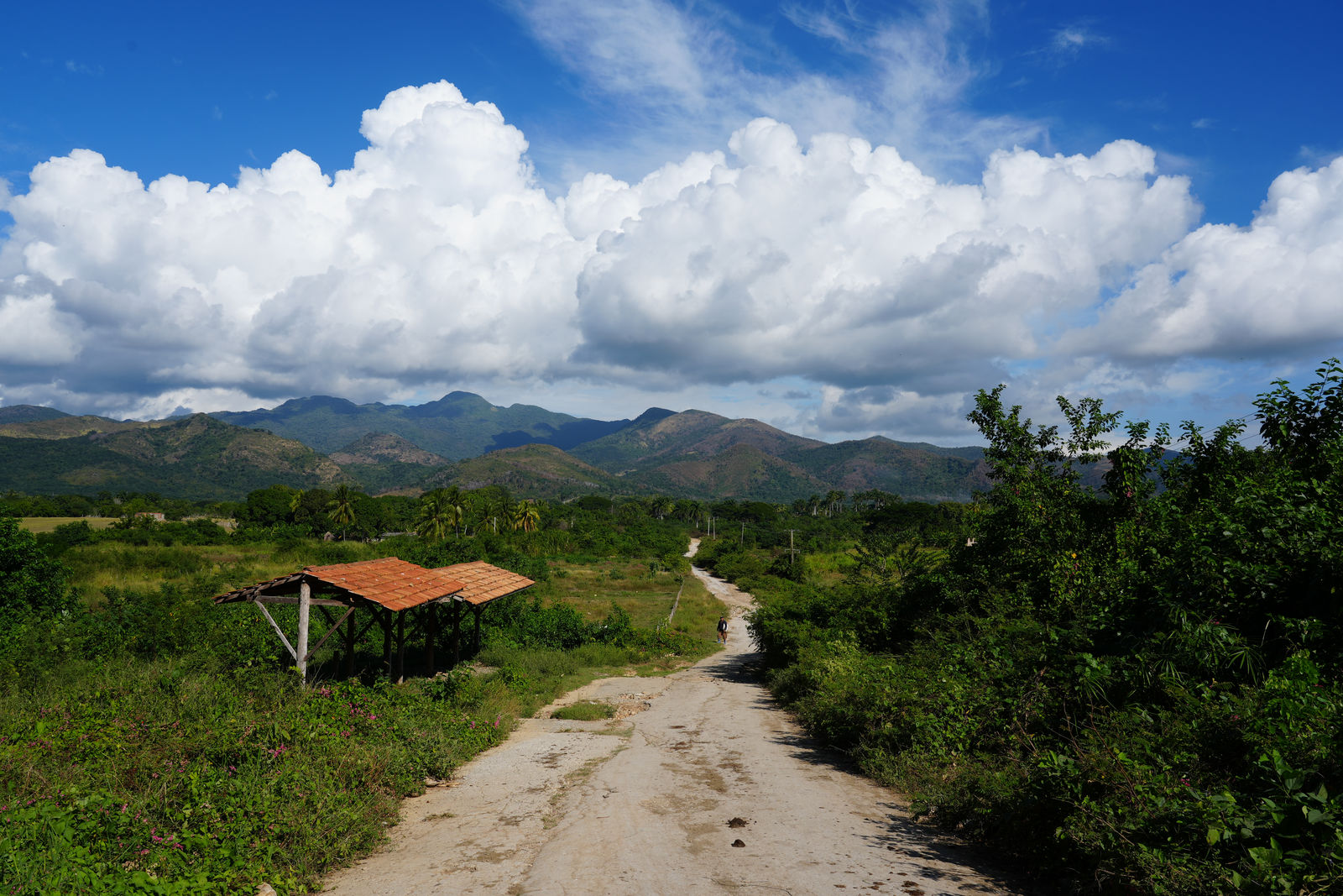 Valley of the Sugar Mills