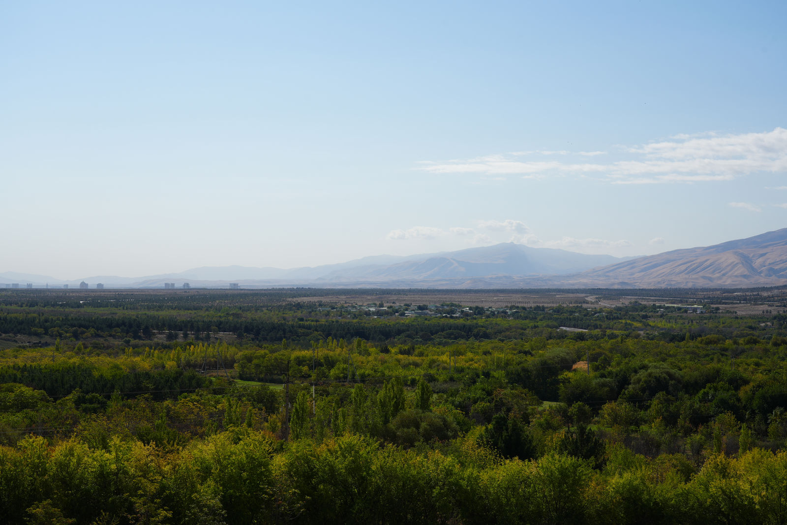 Oasis Plain around Nisa