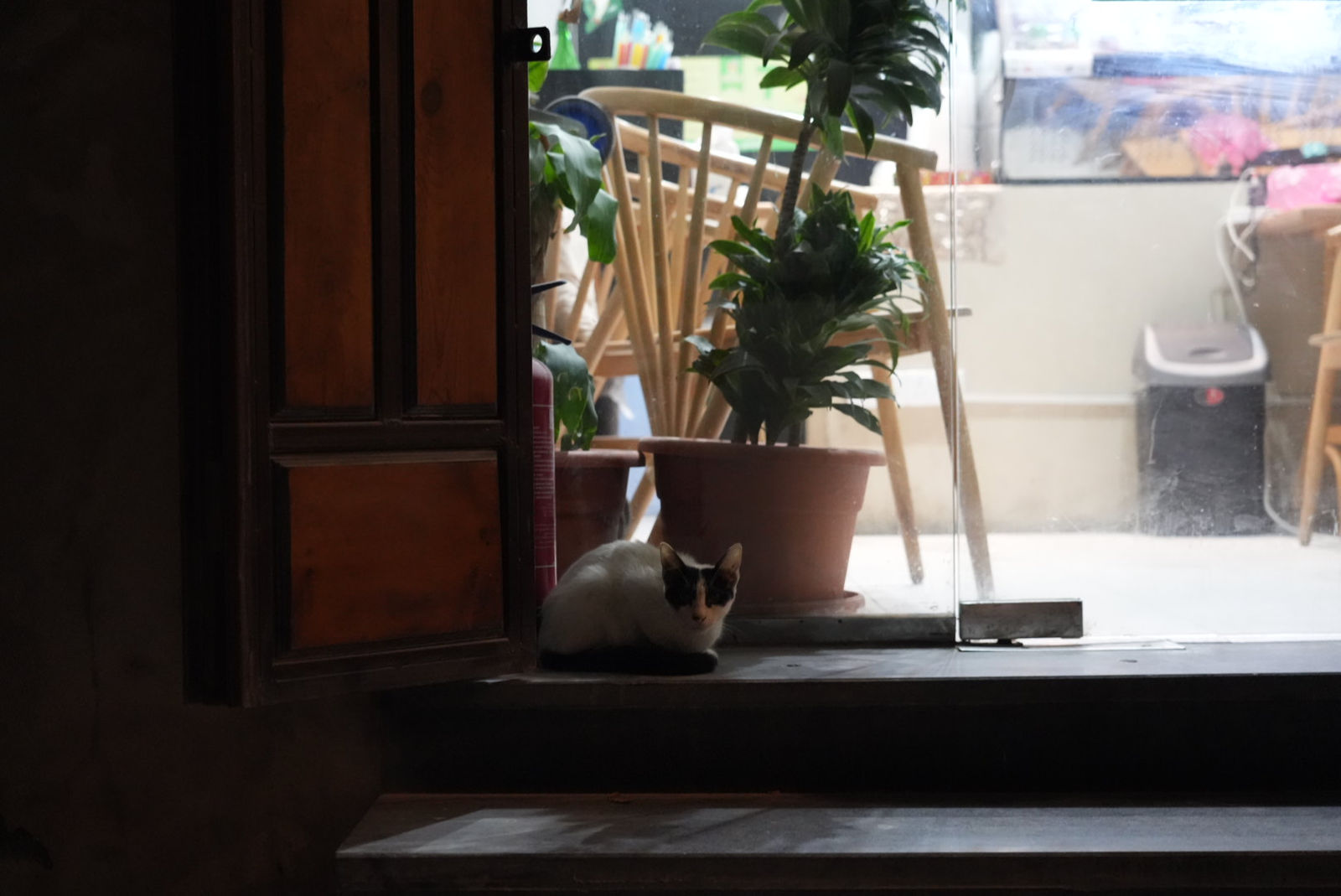 Al-Balad
