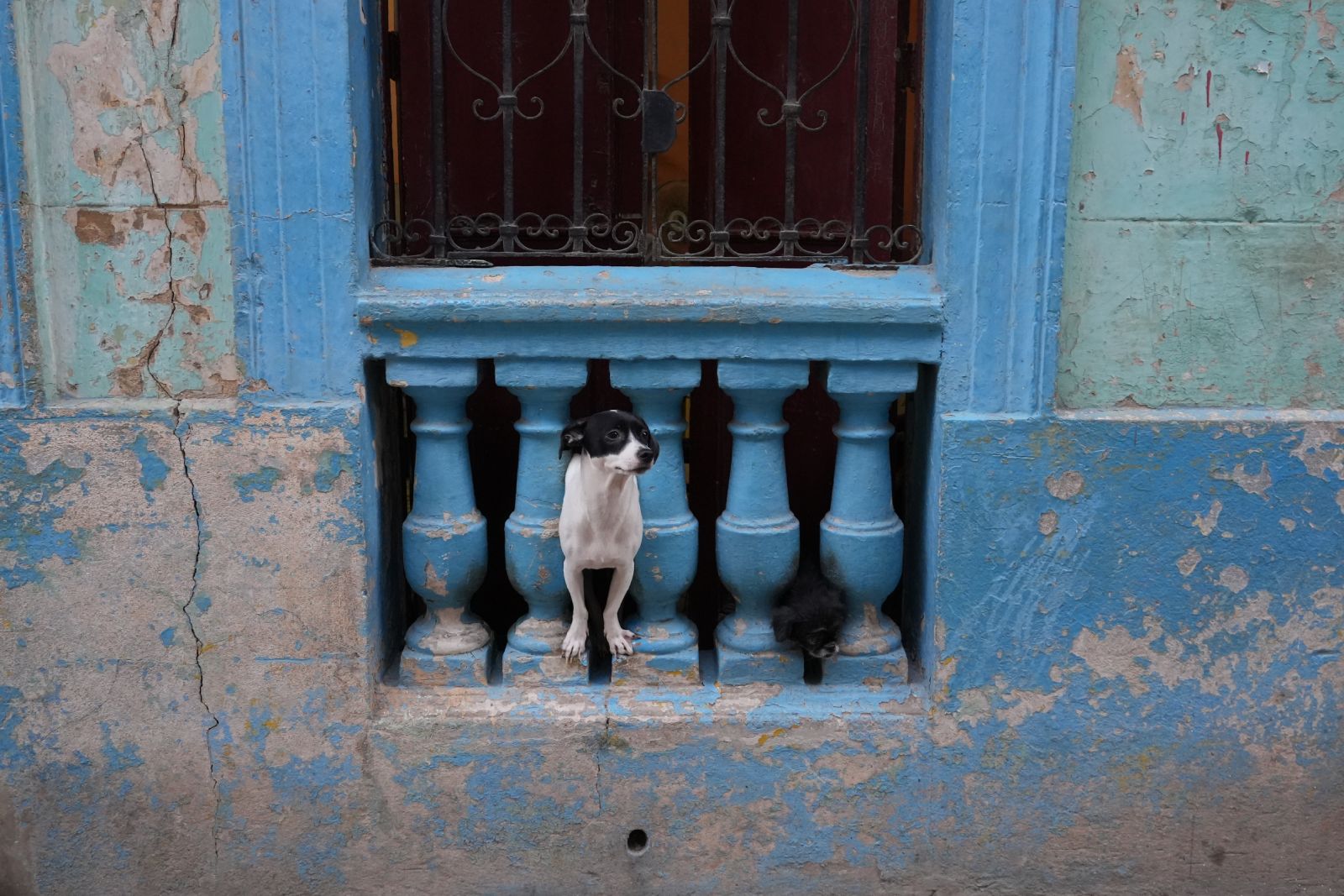 Old Havana