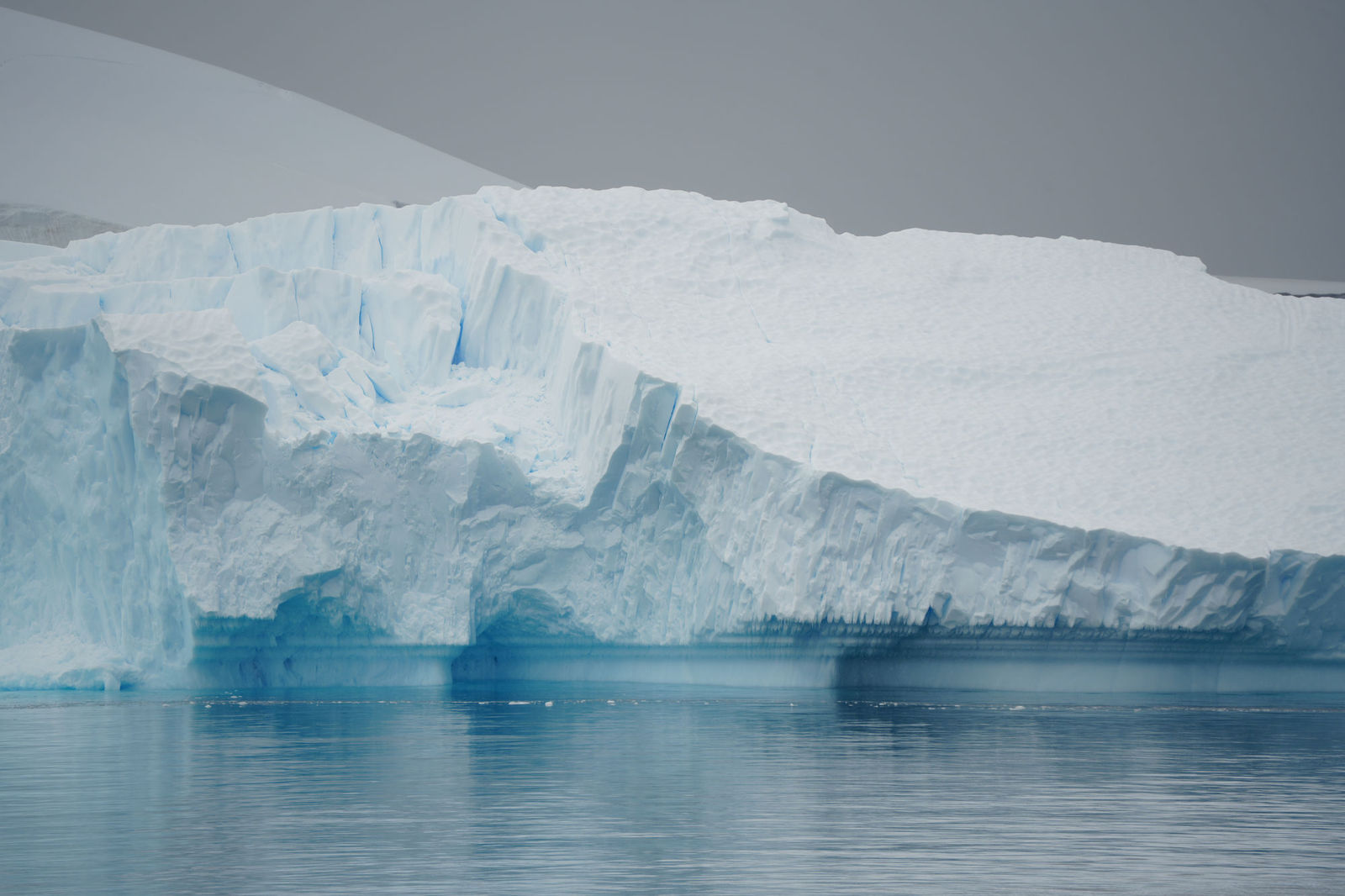Iceberg