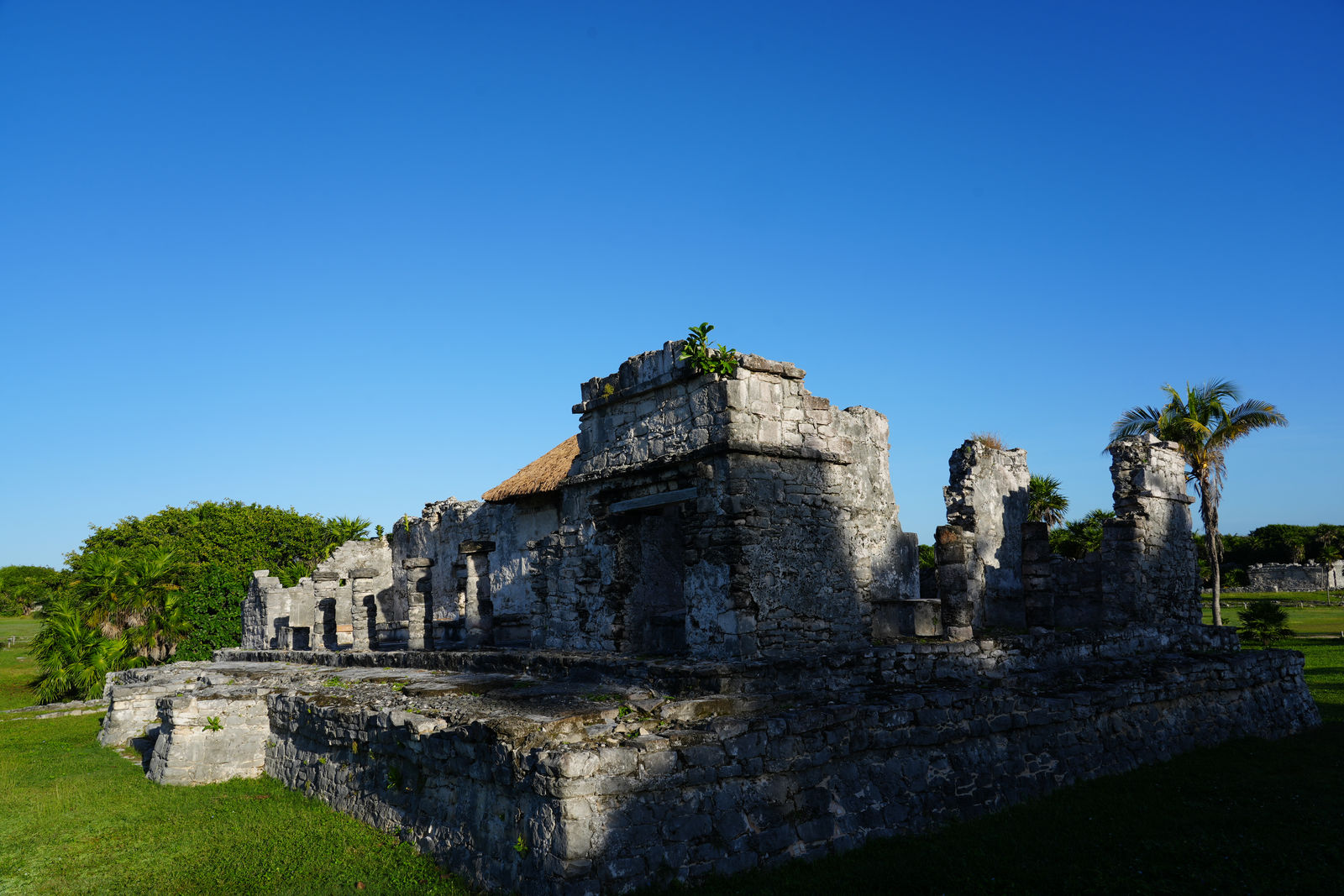 The Great Palace