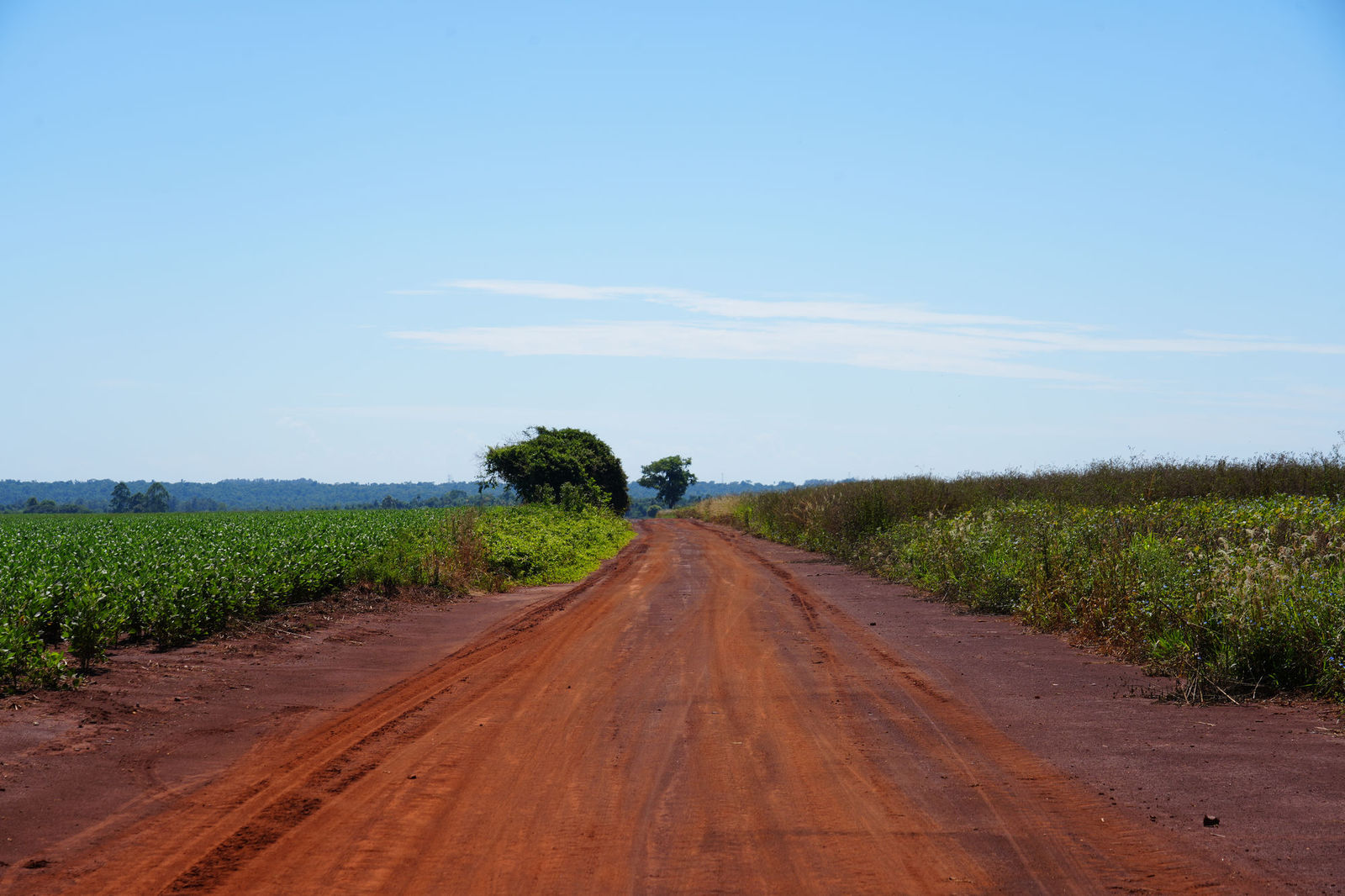 Red Dirt Road