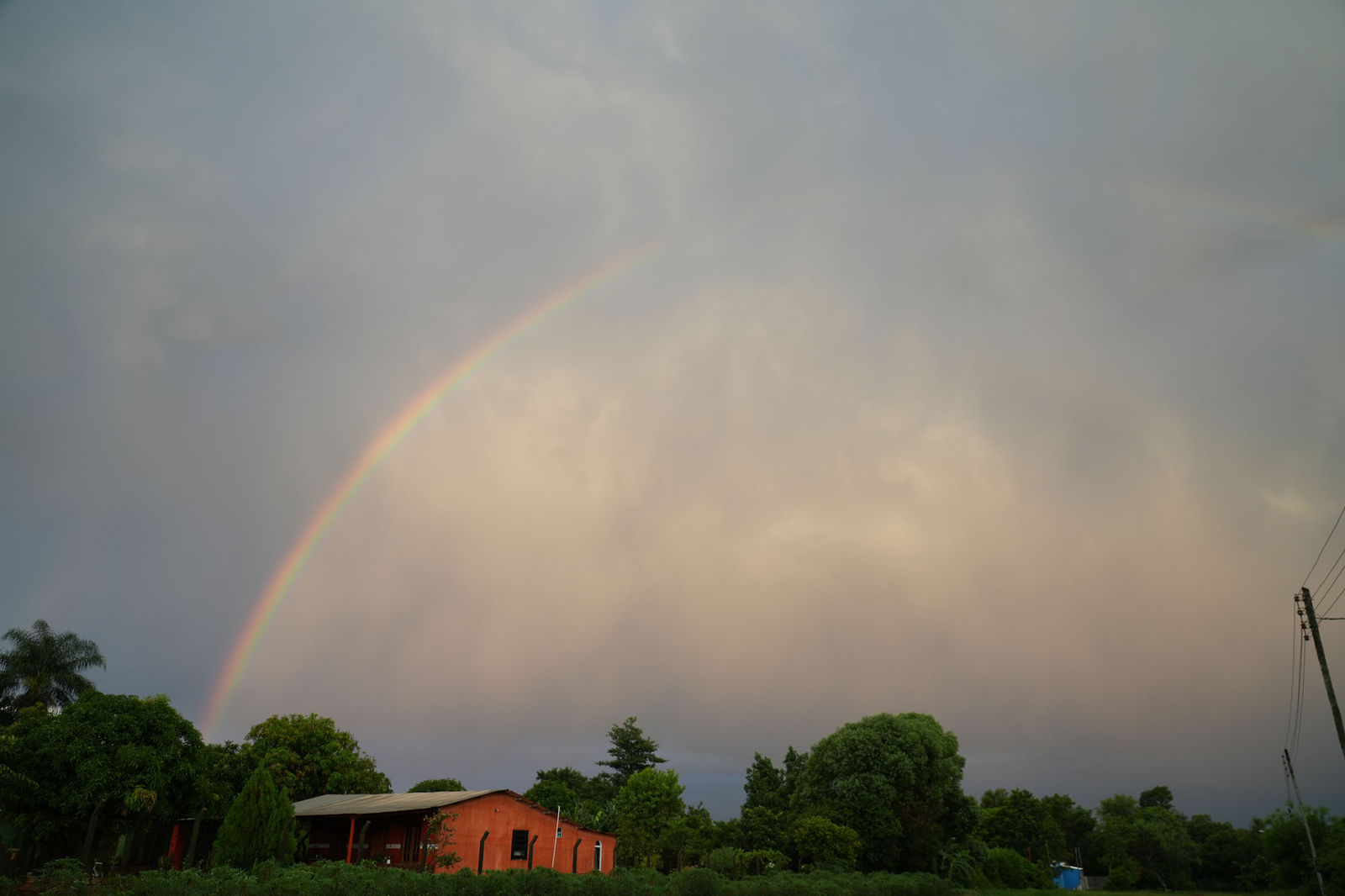 Rainbow