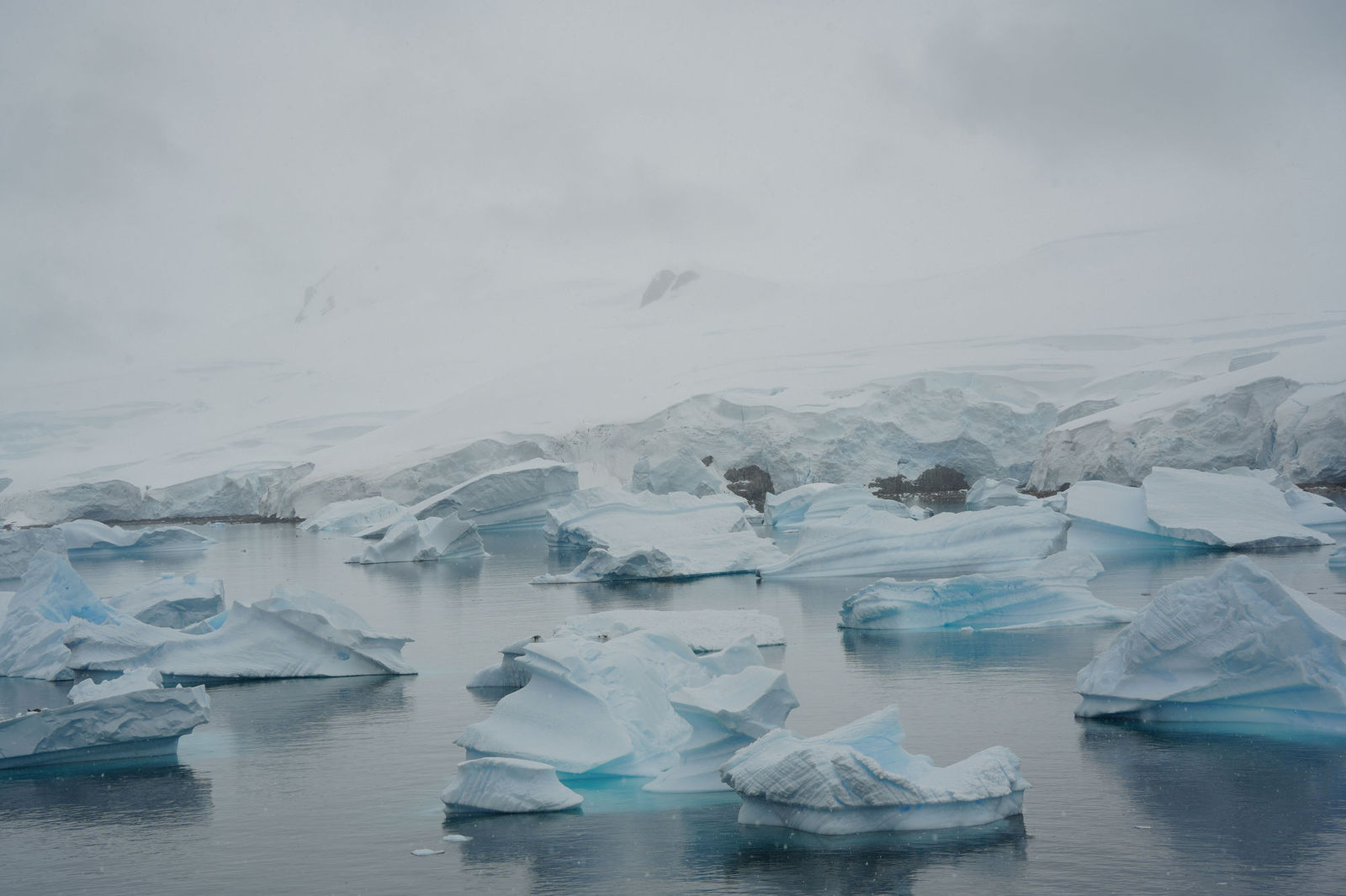 Icebergs