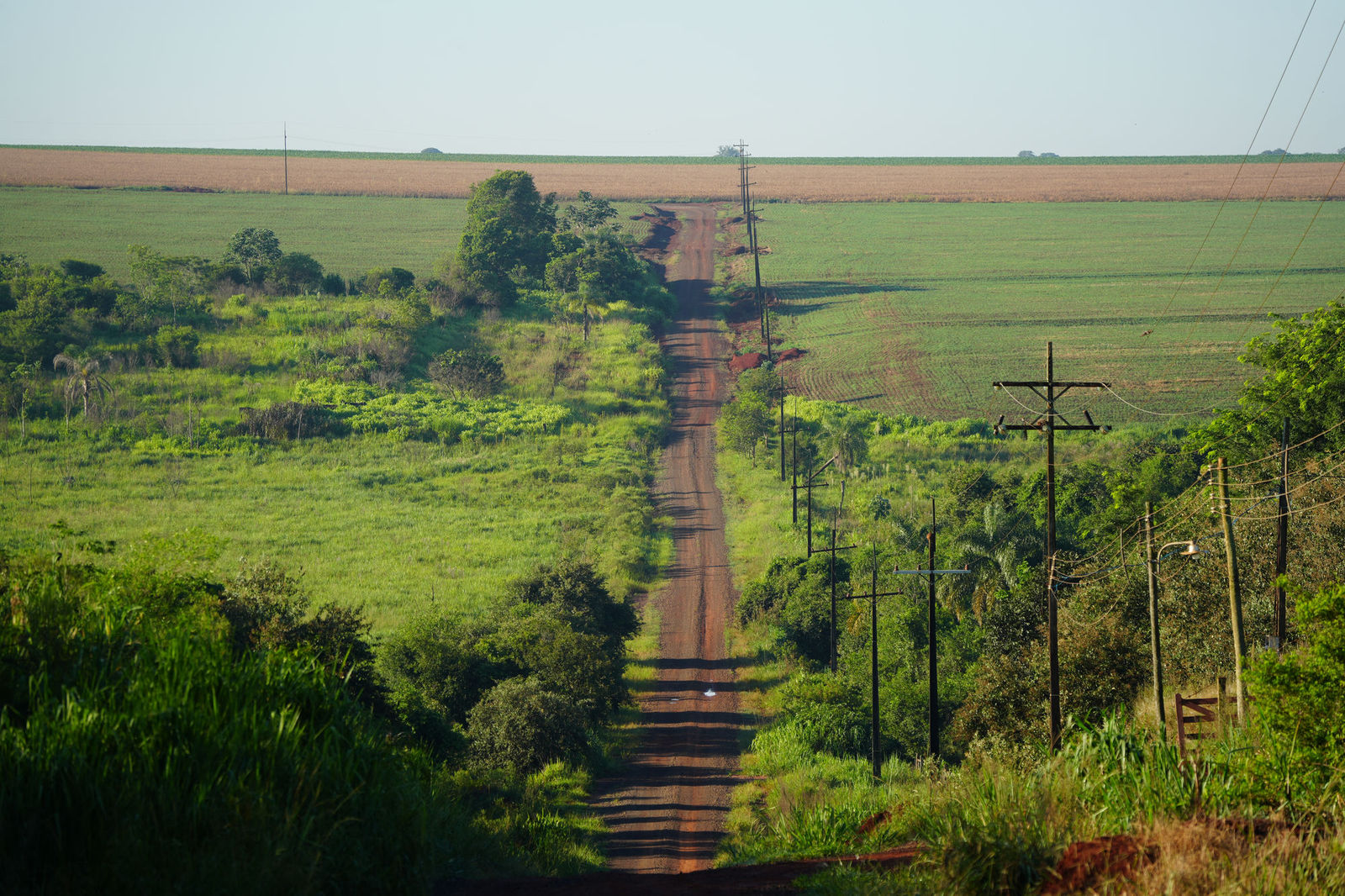 Red Dirt Road