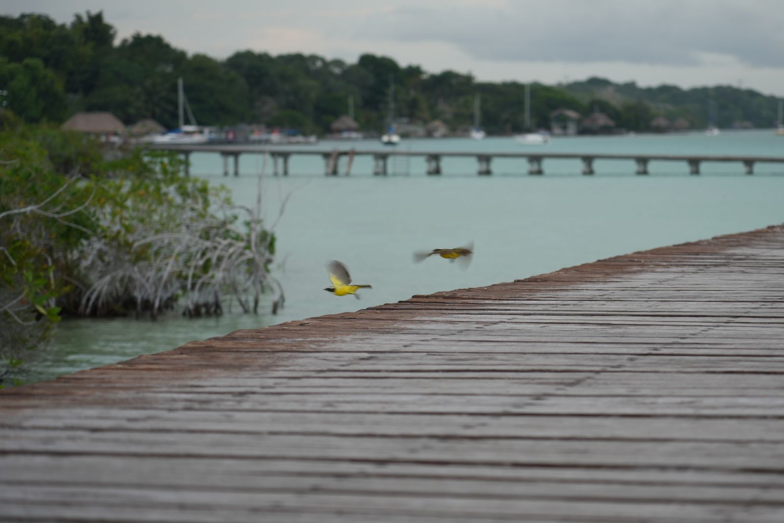 Bacalar Lagoon