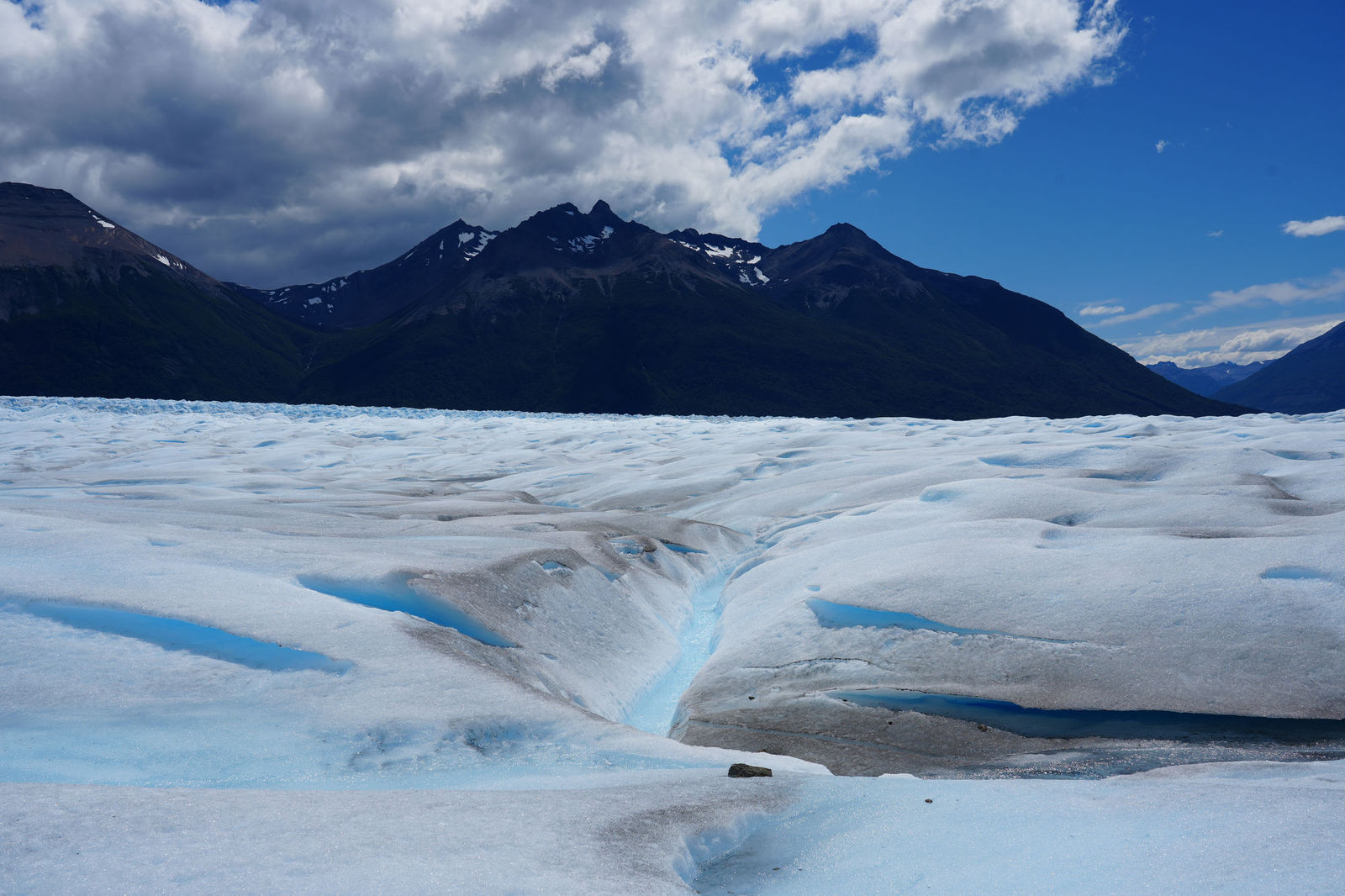 Glacier Trekking