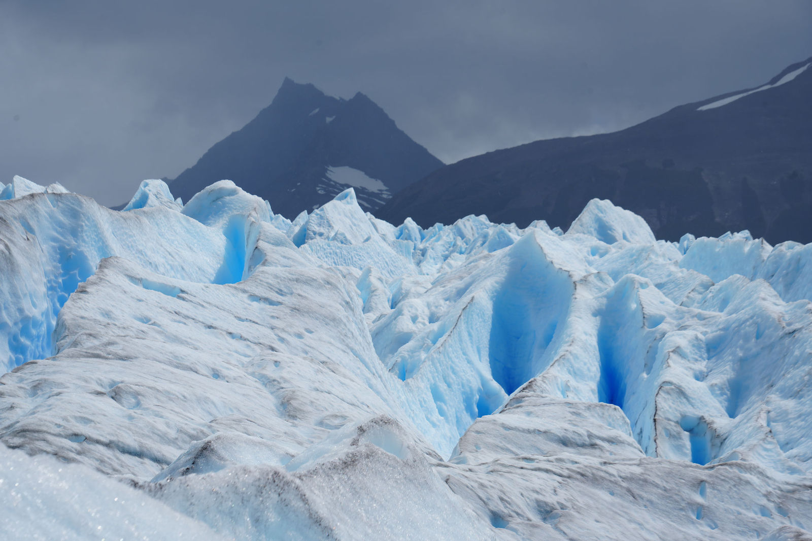 Glacier Trekking