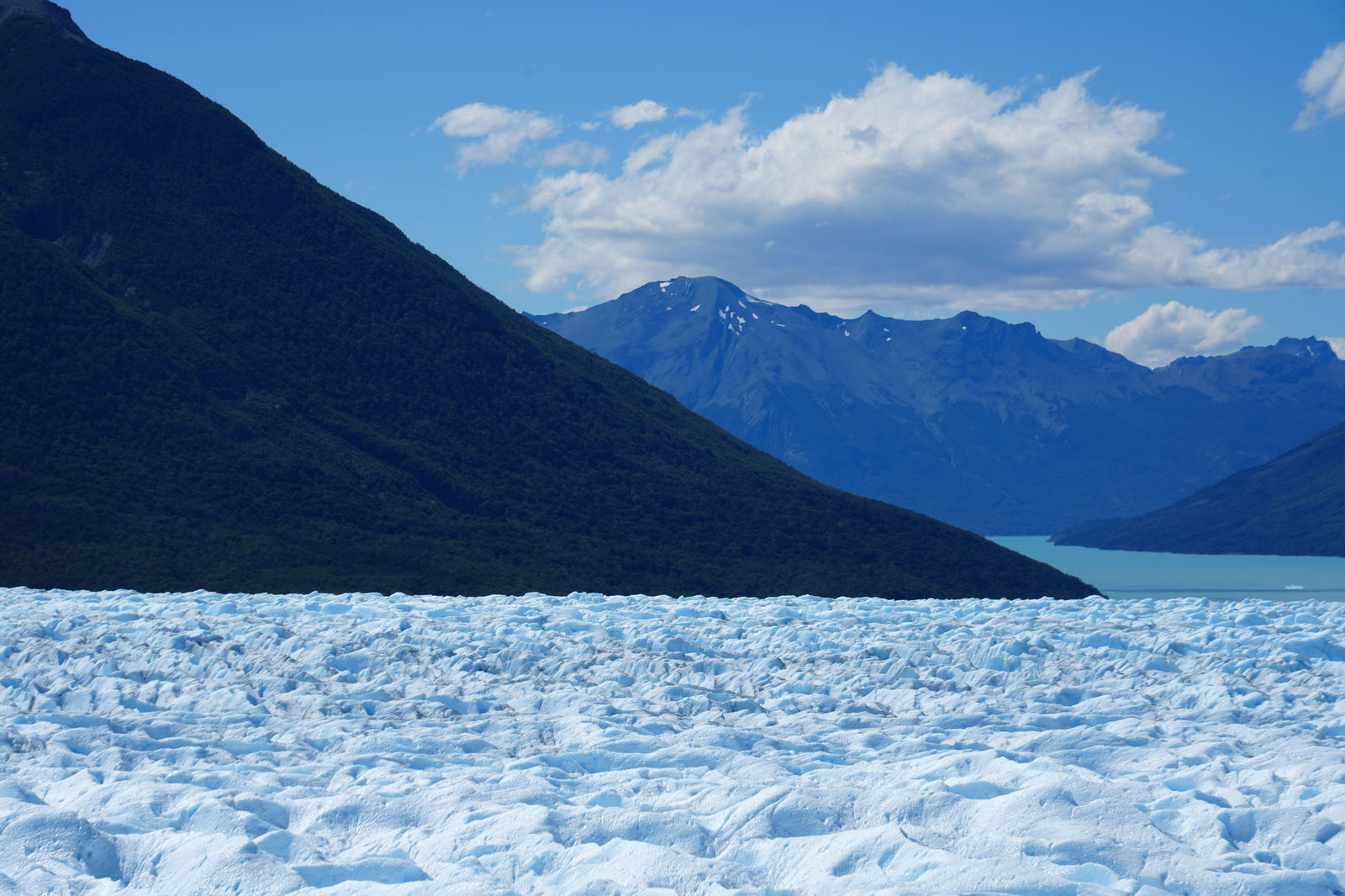 Glacier Trekking