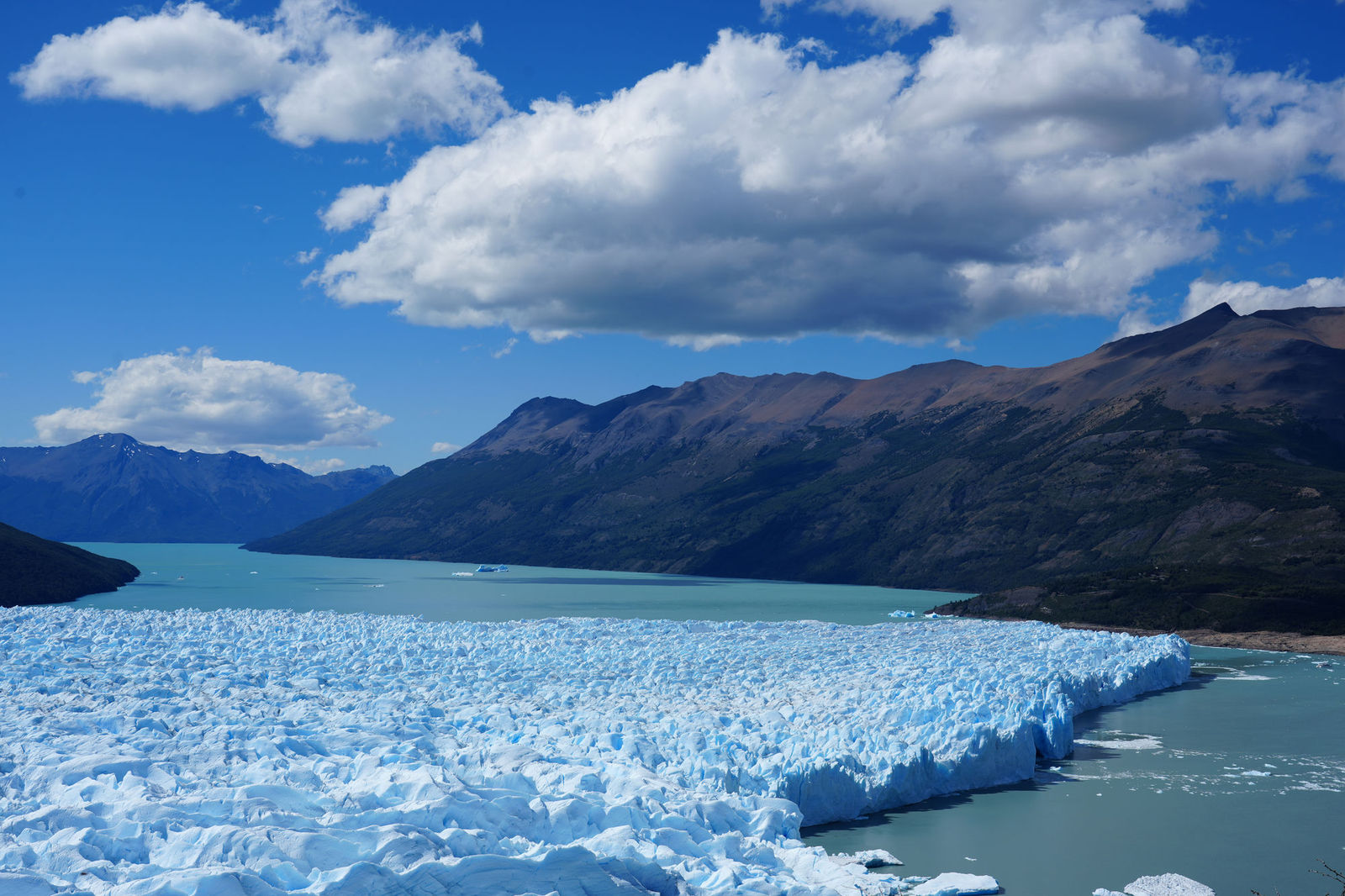 Glacier Trekking
