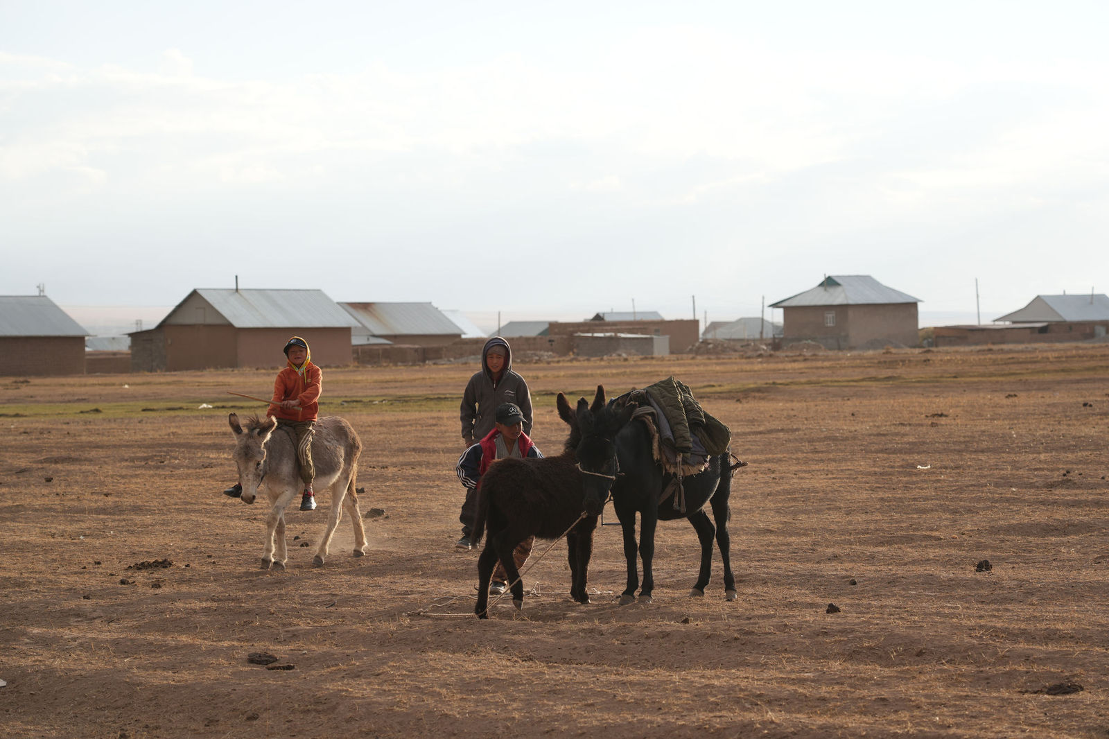 Donkey Riders