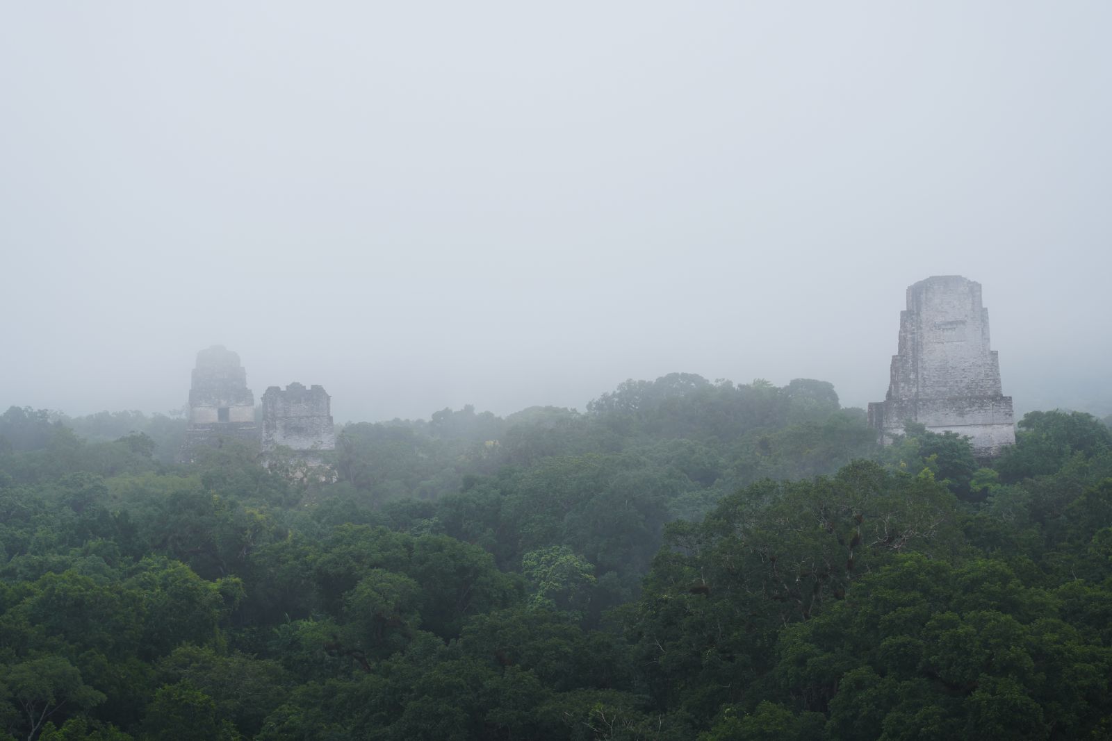 Tikal / Flores