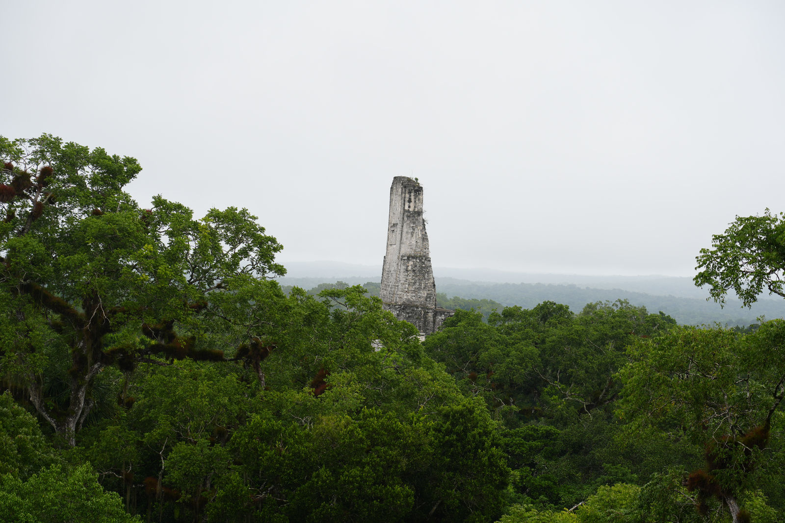 Tikal Ruins